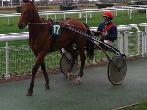 Hippisme : nos préférés pour ce samedi 26 novembre